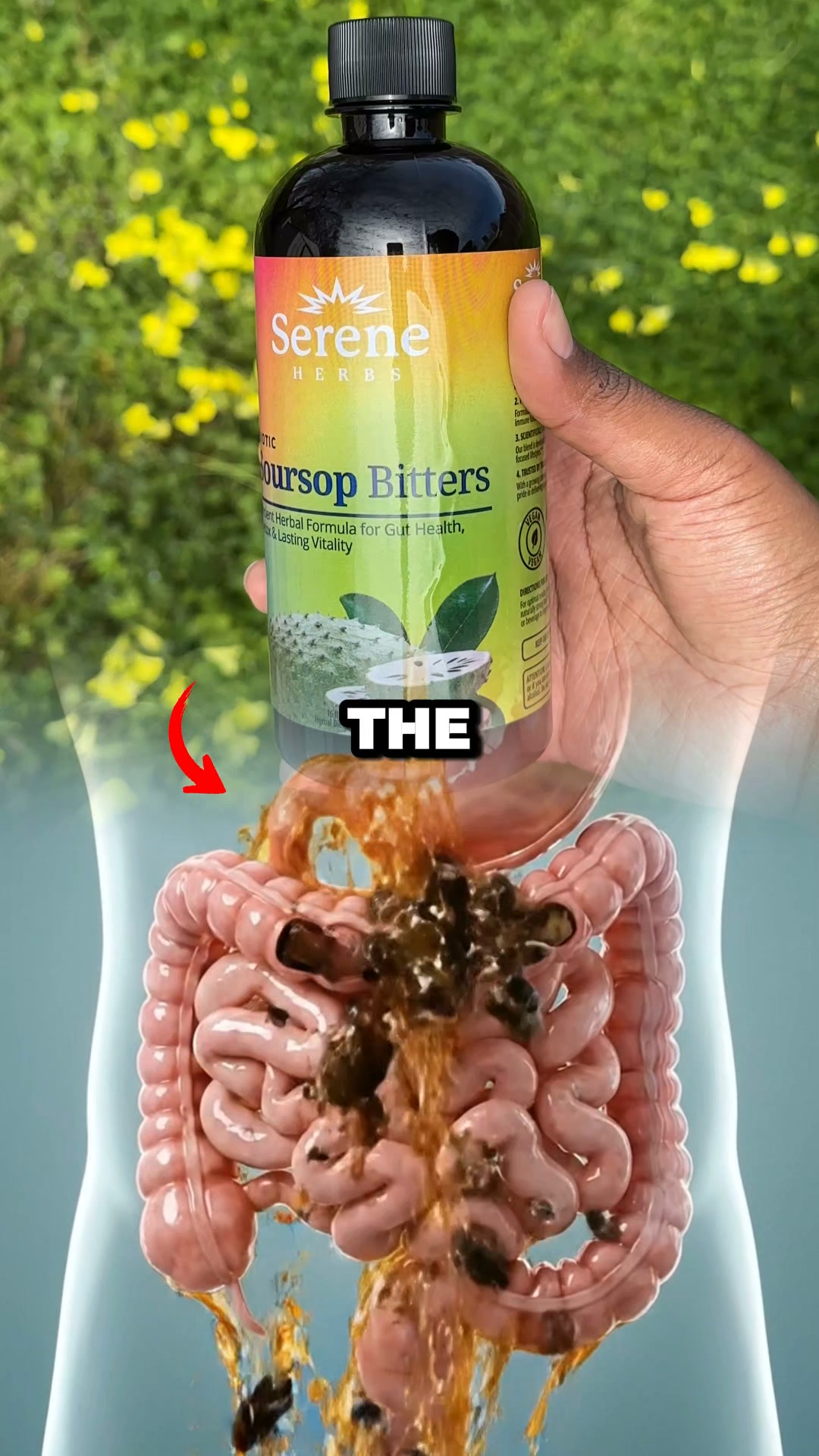 Serene Herbs ad: Save Up to 56% on Soursop Daily Gut Drops Today