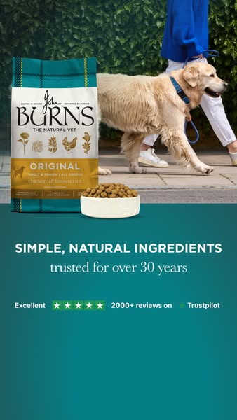 Burns Pet Nutrition ad: Nutrition for Every Dog
