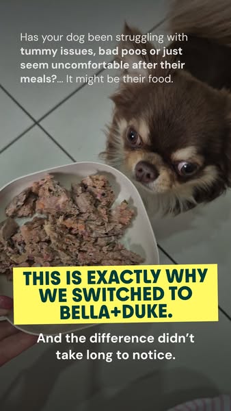 Bella+Duke ad: Get 40% off your first box