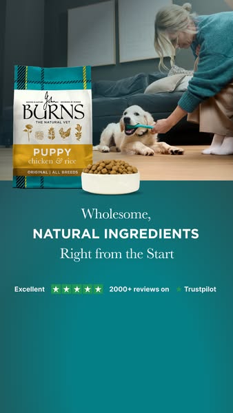 Burns Pet Nutrition ad: Nutrition for Every Dog