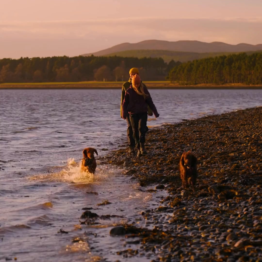 Forthglade Natural Pet Food ad: Naturally Nourishing Dog Food