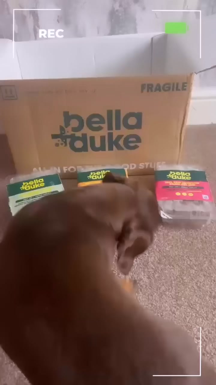 Bella+Duke ad: Get 40% off your first box