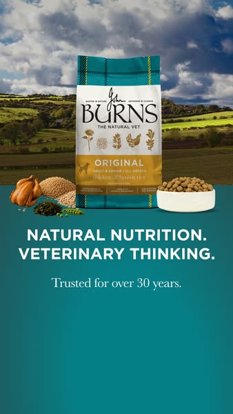 Burns Pet Nutrition ad: Nutrition for Every Dog