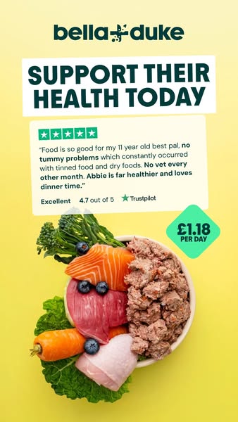 Bella+Duke ad: Get 40% off your first box