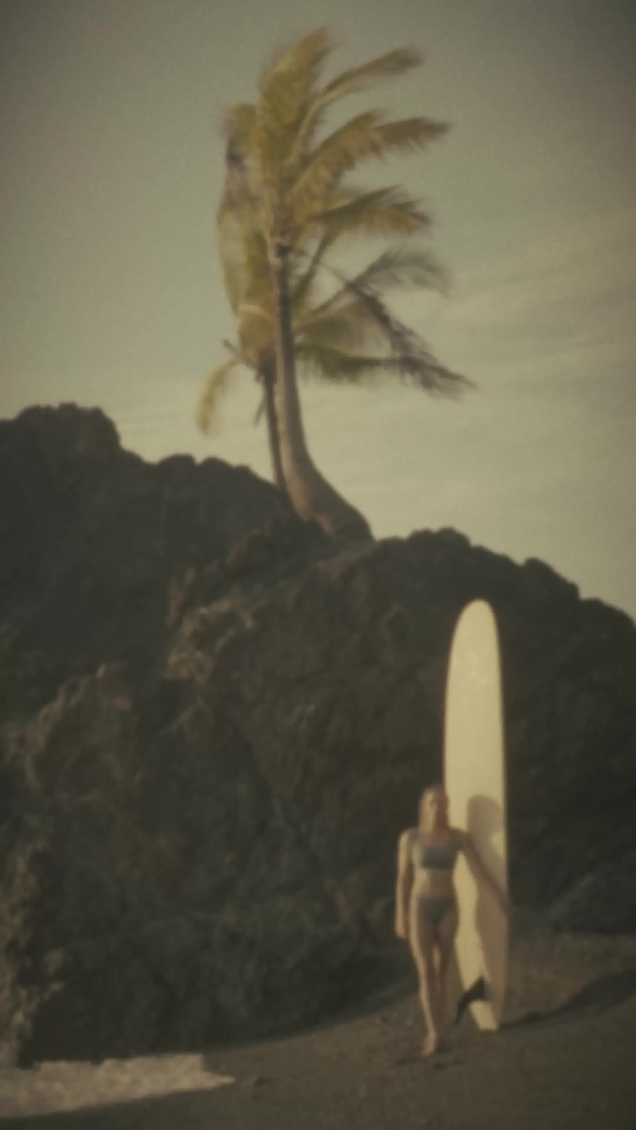 Free Fly Apparel ad: Sustainable Surf & Swim
