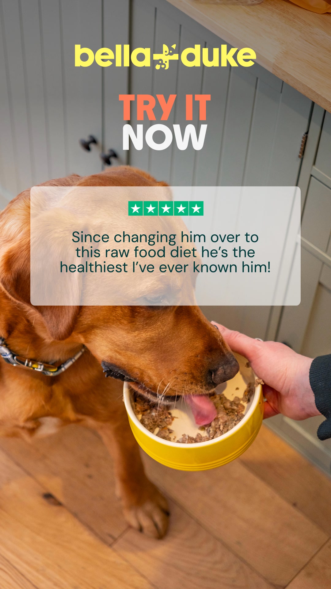 Bella+Duke ad: Get 40% off your first box
