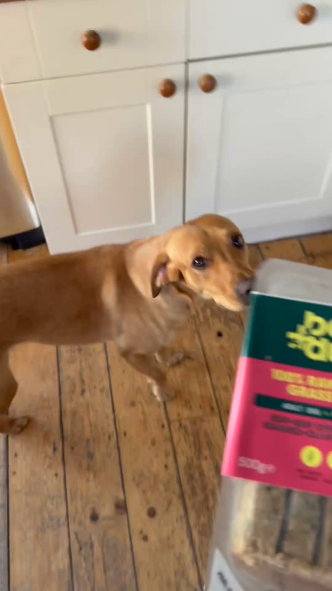 Bella+Duke ad: Get 40% off your first box
