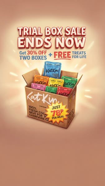 KatKin ad: 100% fresh meat for healthy cats