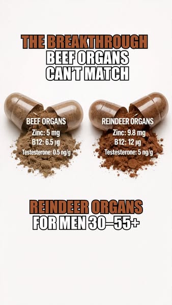 Primal Viking ad: Stop Beef Organs!