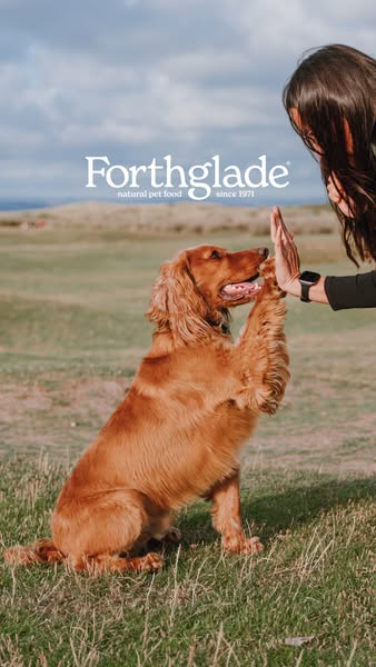 Forthglade Natural Pet Food ad: Naturally Nourishing Dog Food
