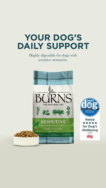 Burns Pet Nutrition ad: Nutrition for Every Dog
