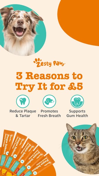 Zesty Paws UK ad: Try our dental powder for £5