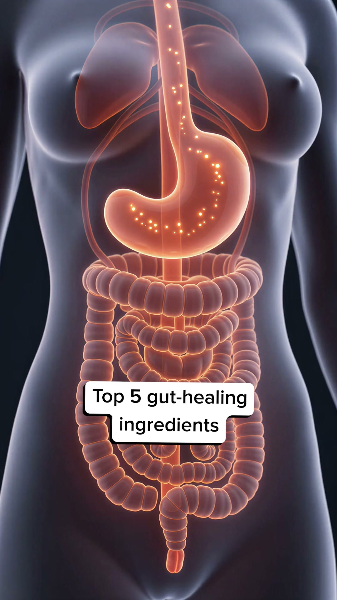 True Sea Moss Health ad: Nature's Finest Superfood: Up to 40% Off + Free Gift