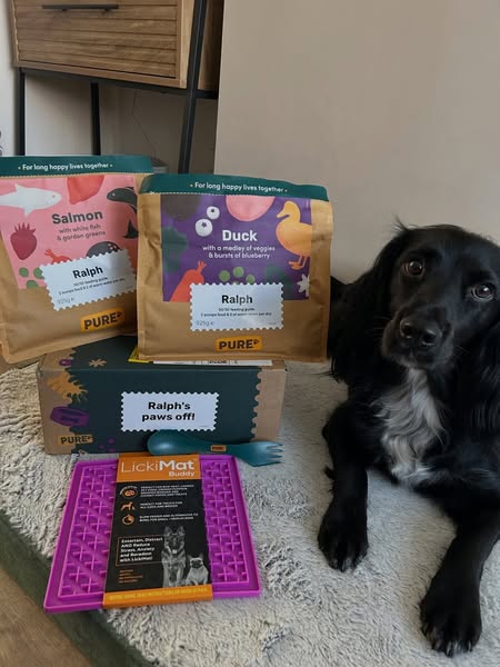 Pure Pet Food ad: 30% off your first Pure box