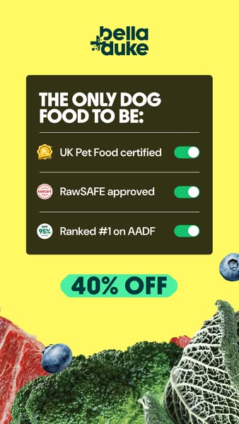 Bella+Duke ad: Get 40% off your first box