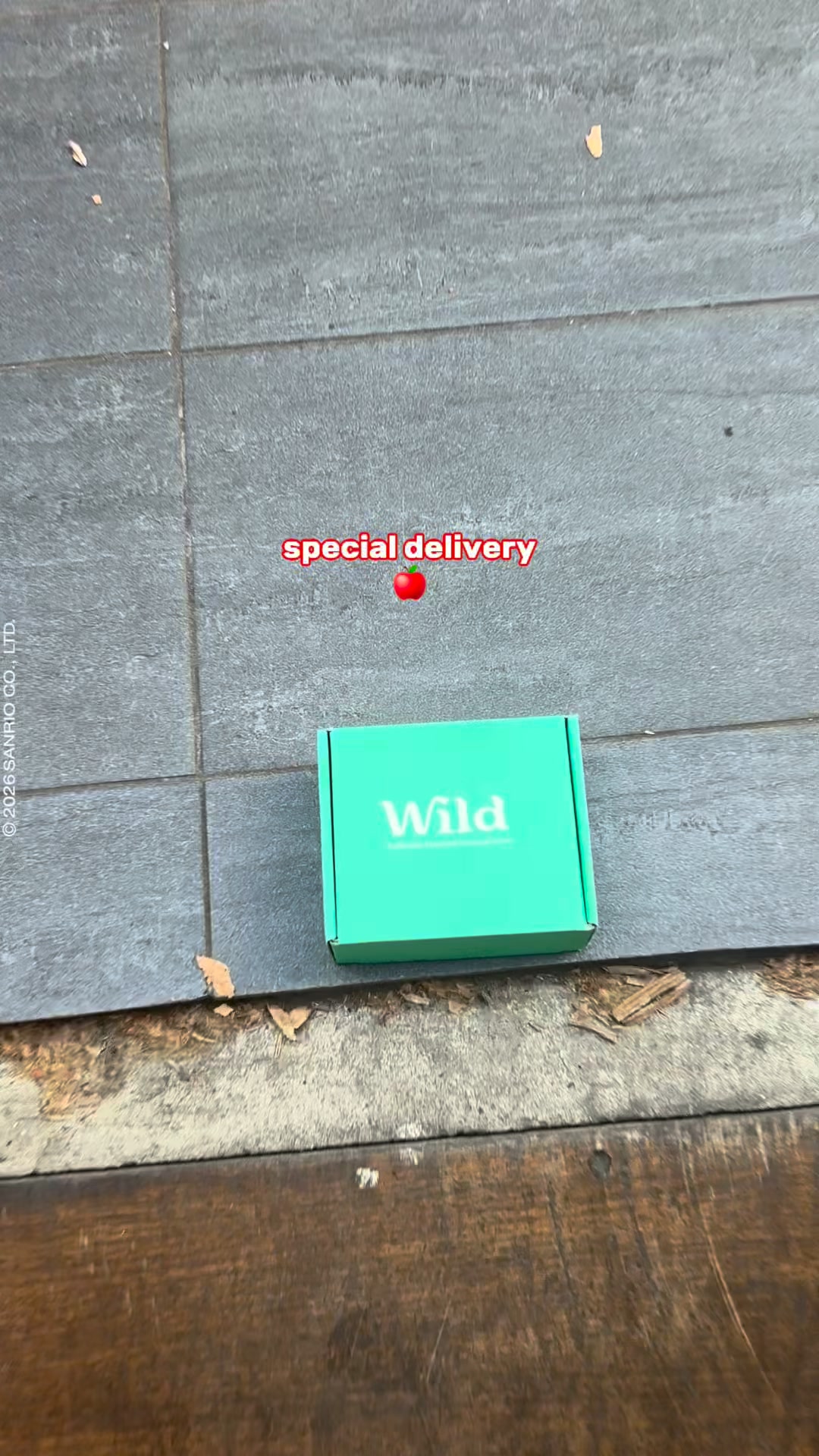 Wild ad: Hello Kitty case is here