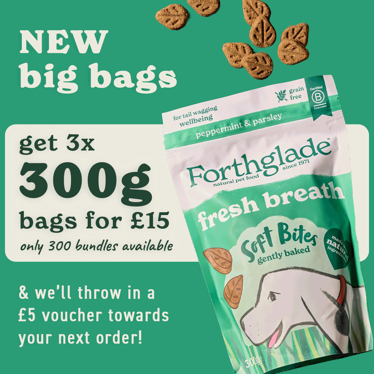 Forthglade Natural Pet Food ad: 3 x 300g Treats For £15