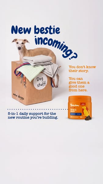 Zesty Paws UK ad: Welcome home 🧡