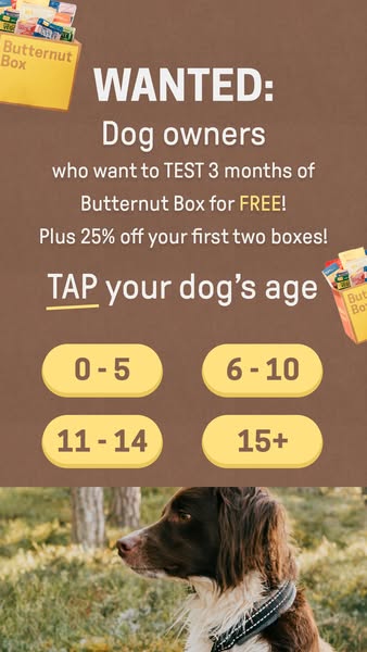 Butternut Box ad: Free 3-Month Butternut Box Trial