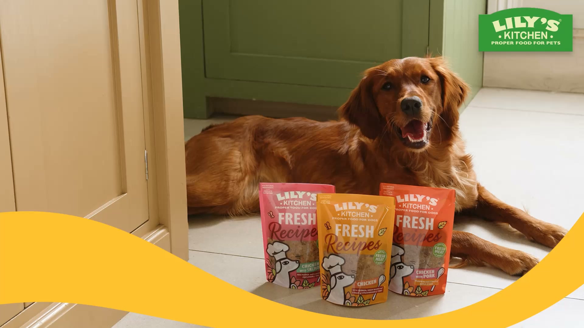 Lily's Kitchen ad: Find your dog’s favourite