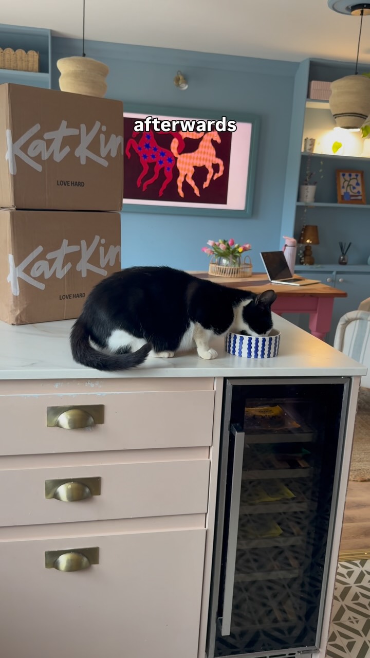 KatKin ad: Ad We always dreamed of having cats, but we knew we wanted to wait until we could give them the life they deserved. 🐾❤️ When we finally mov