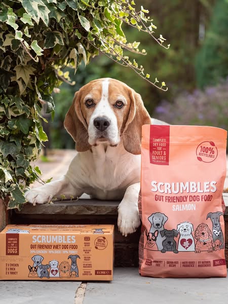 Scrumbles ad: Dog Food & Treats | Natural, Grain-Free & Sensitive Options