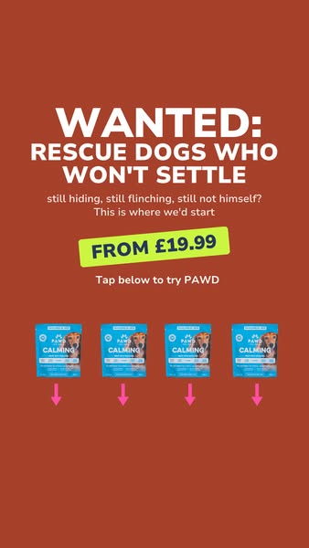 Pawd Drinks ad: Daily Calm for Anxious Dogs