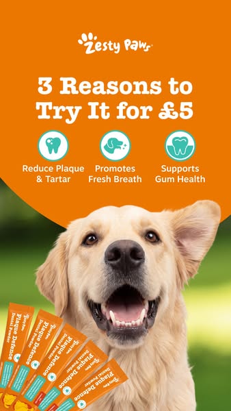 Zesty Paws UK ad: Try our dental powder for £5
