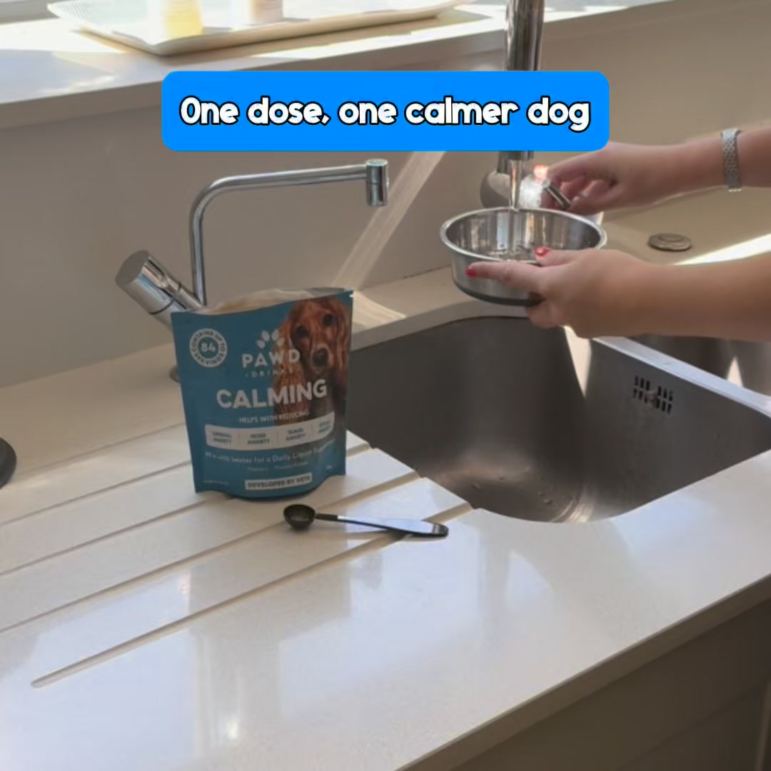 Pawd Drinks ad: Daily Calm for Anxious Dogs