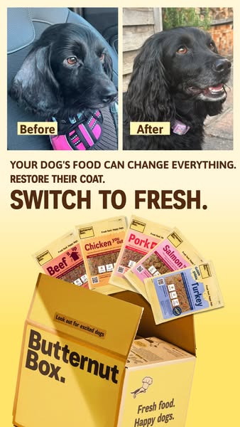 Butternut Box ad: See the transformation for yourself. 25% off first 2 boxes.