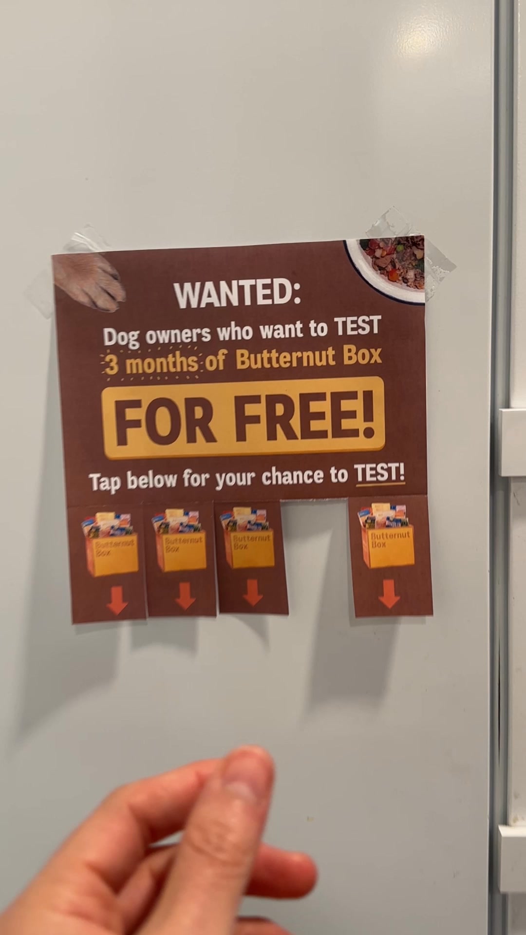 Butternut Box ad: 🐶Are you a dog owner?🐶