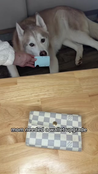 The Ridge ad: Upgrade Your Wallet