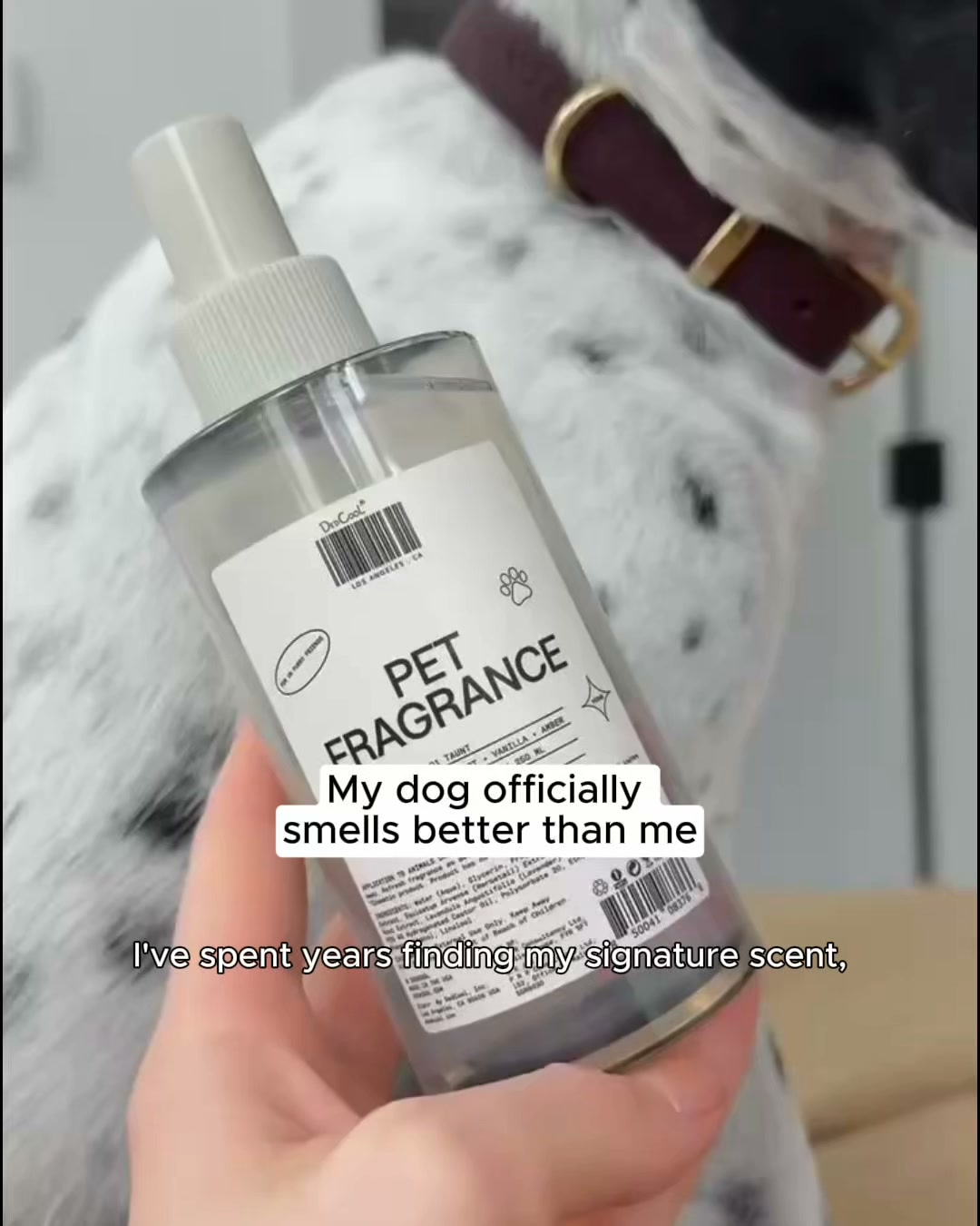 DedCool ad: DedCool Pet Shampoo and Fragrance