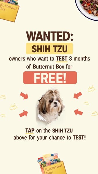Butternut Box ad: 🐶 WANTED: SHIH TZU owners! 🐶