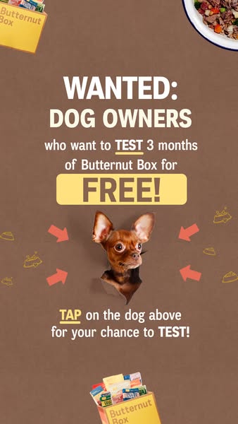Butternut Box ad: 🐶Are you a dog owner?🐶