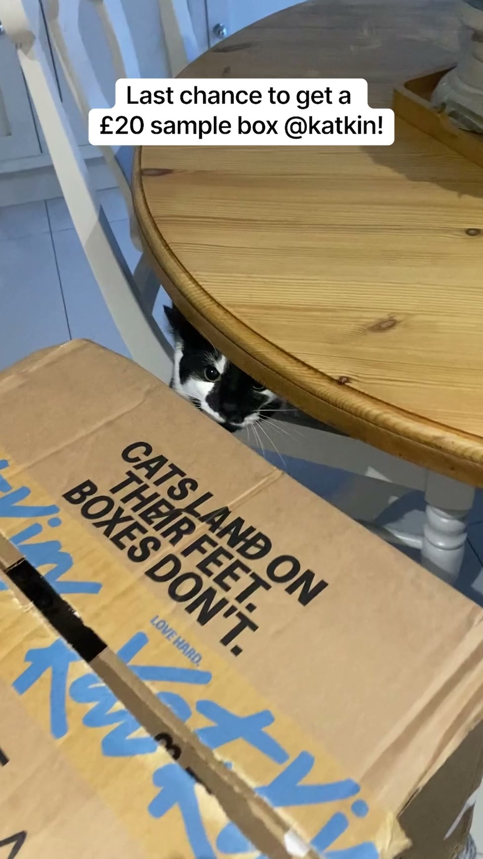 KatKin ad: 100% fresh meat for healthy cats