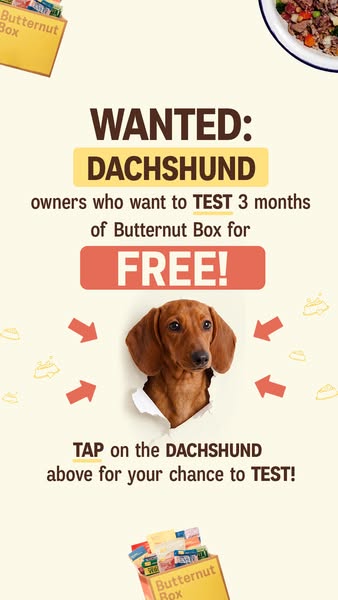 Butternut Box ad: 🐶 WANTED: DACHSHUND owners! 🐶
