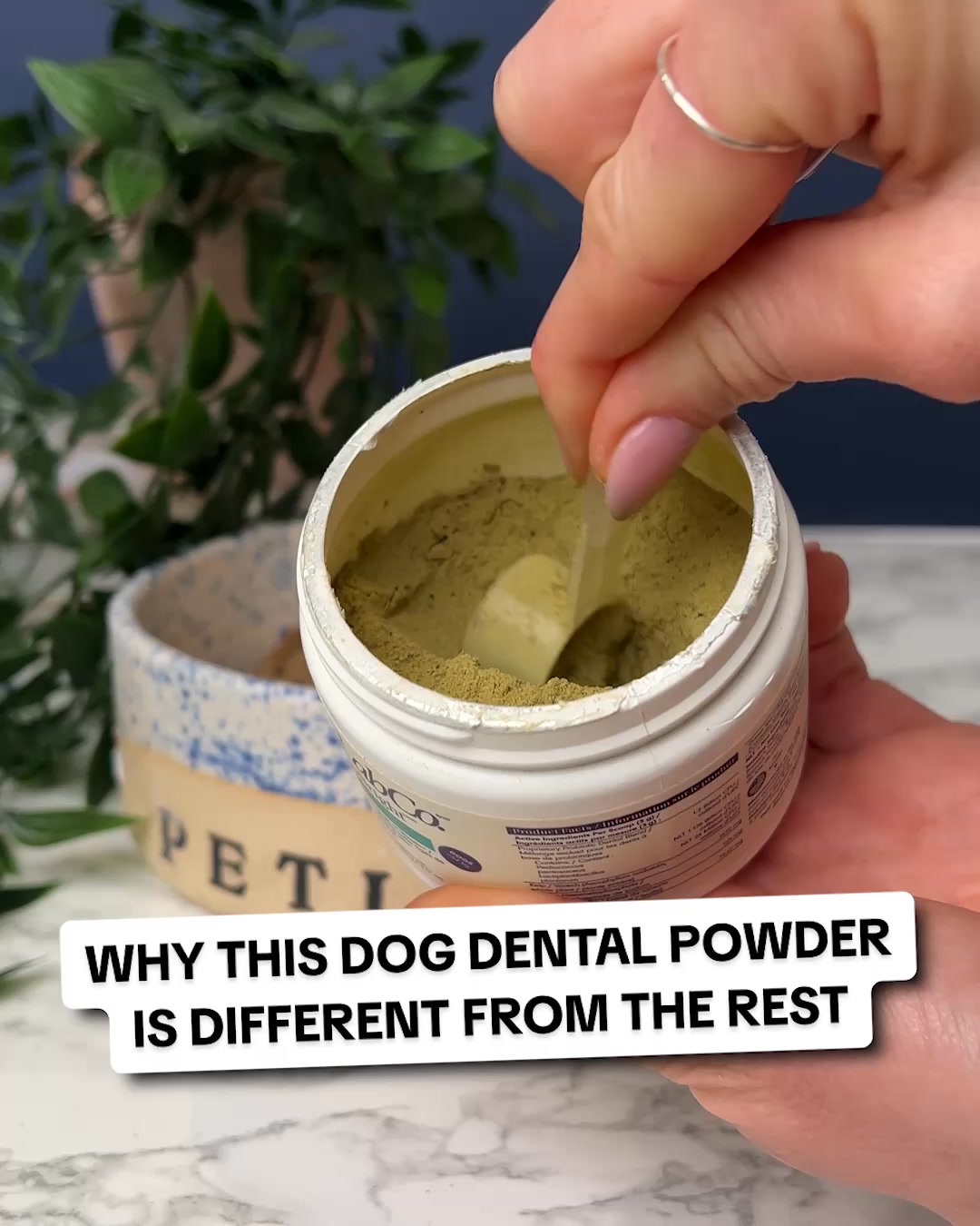 PetLab Co. ad: 50% OFF TODAY - Say Goodbye To Bad Dog Breath & Yellow Teeth!