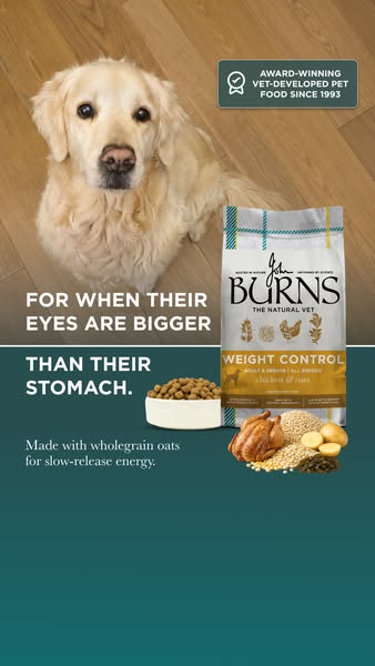 Burns Pet Nutrition ad: Support a Healthier Weight