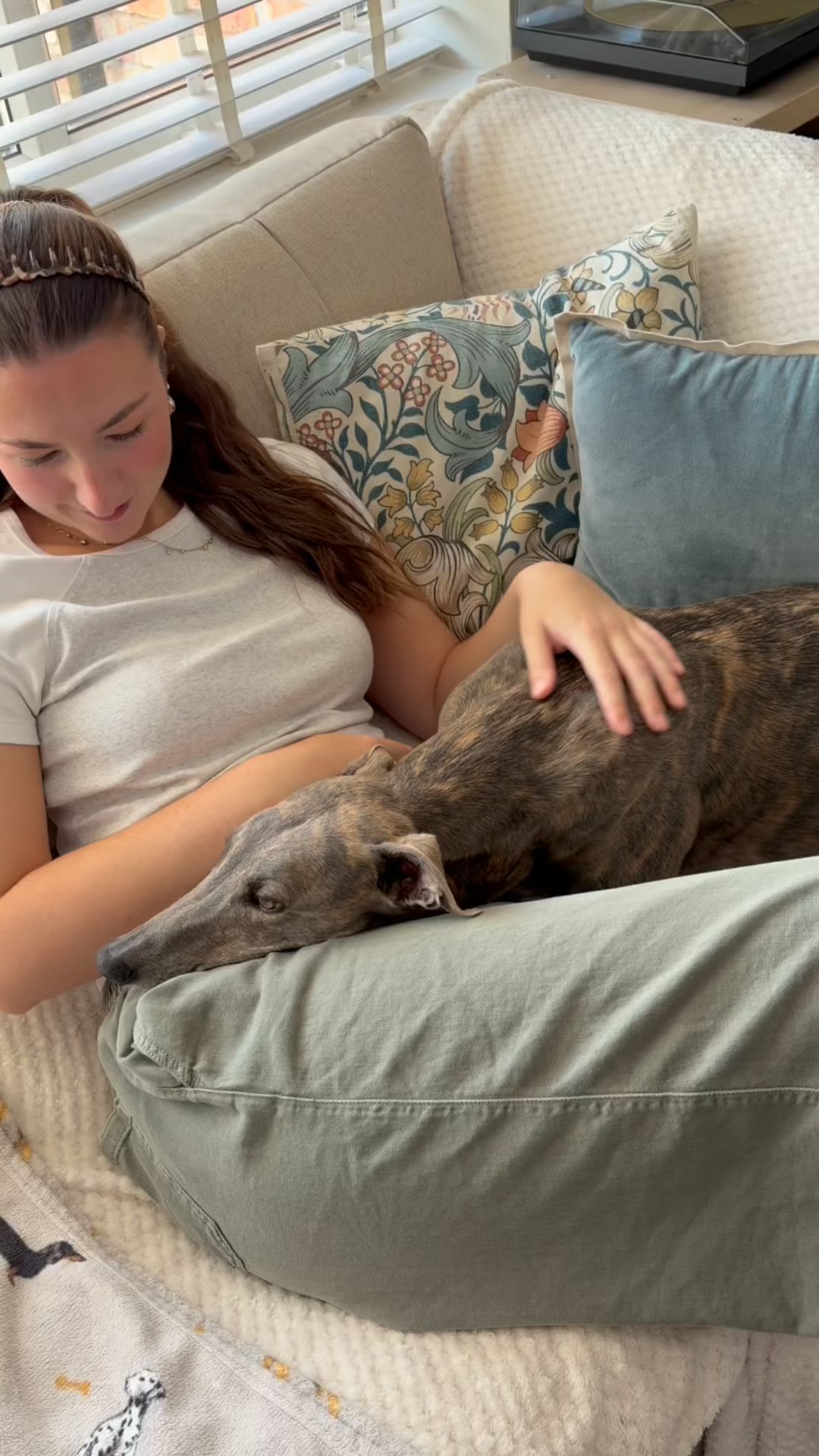Zesty Paws UK ad: On Subscription So You Can't Fail Them