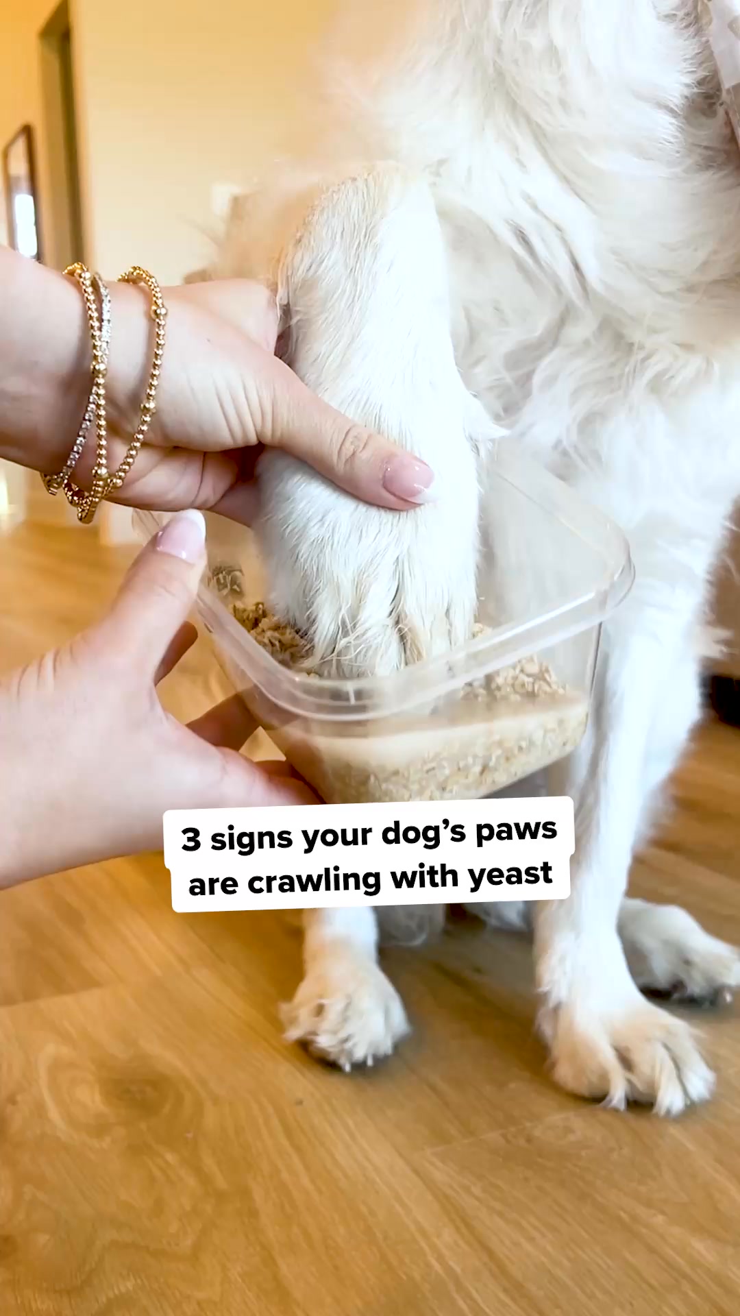 PetLab Co. ad: If Your Dog Shows These Signs... This Daily Chew Could Help