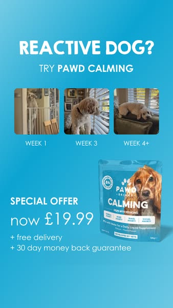 Pawd Drinks ad: Daily Calm for Anxious Dogs