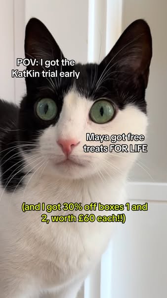 KatKin ad: 100% fresh meat for healthy cats