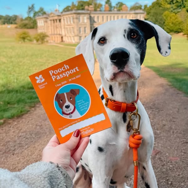 Forthglade Natural Pet Food ad: The Pooch Passport is BACK! 🐾 We’re excited to be partnering with the National Trust on our 4th year of the Pooch Passport - and we’ve got