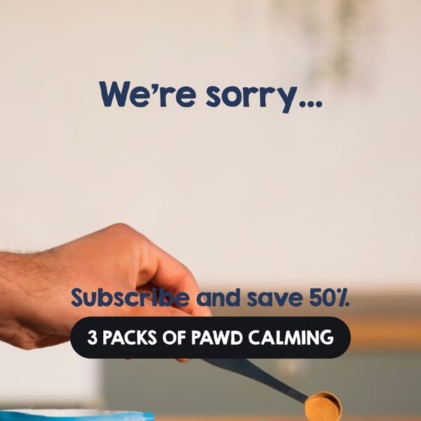Pawd Drinks ad: Daily Calm for Anxious Dogs