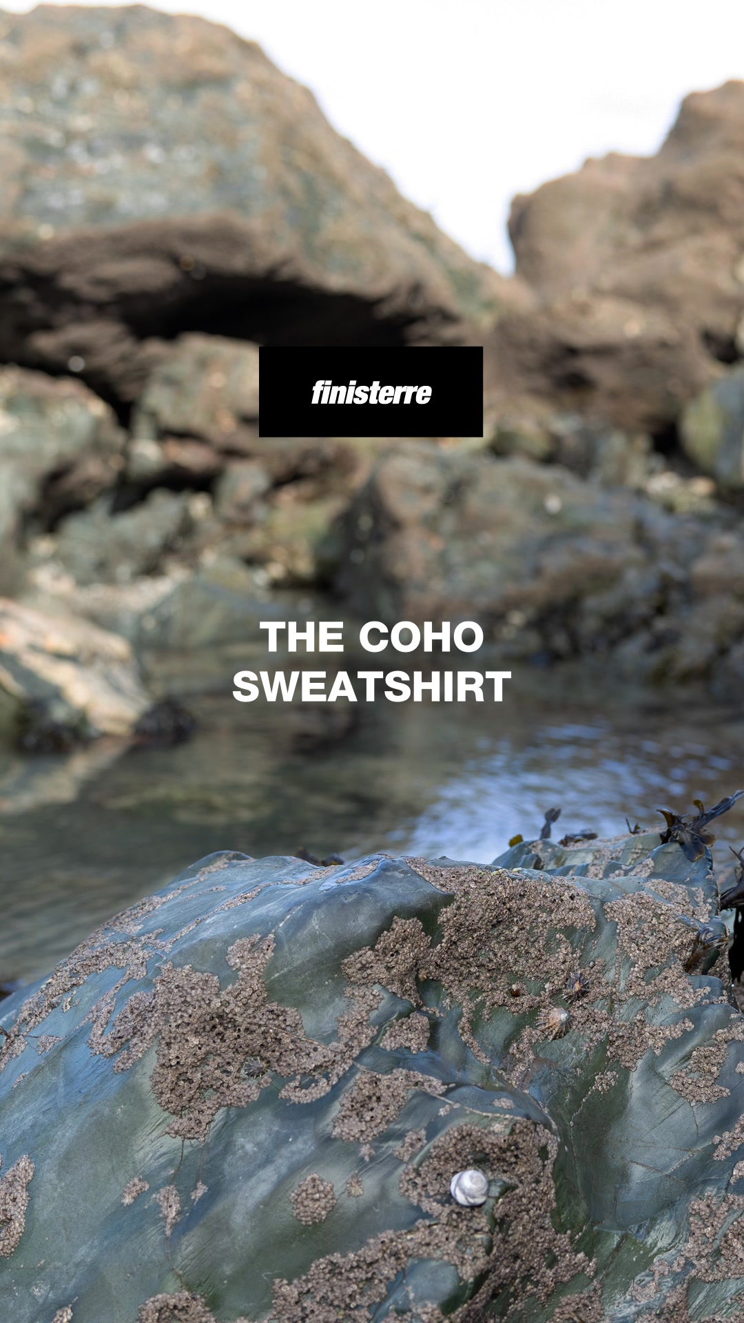 Finisterre ad: New Arrivals