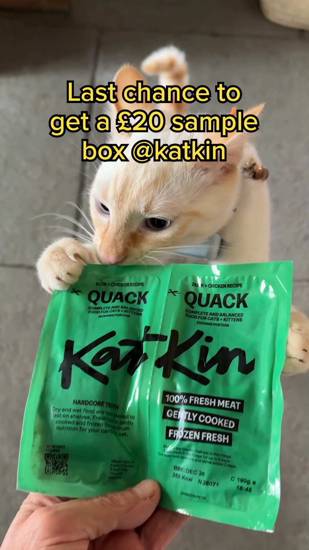 KatKin ad: 100% fresh meat for healthy cats