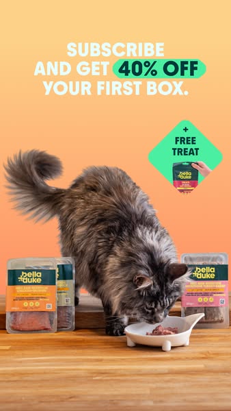 Bella+Duke ad: Bella+Duke raw cat food