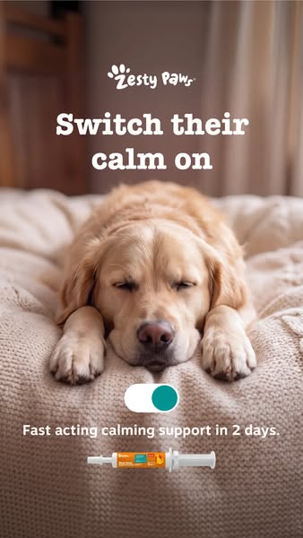 Zesty Paws UK ad: Stress coming? Be ready.