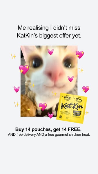 KatKin ad: Get 28 Fresh Meals For £20